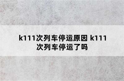 k111次列车停运原因 k111次列车停运了吗